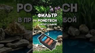 Фильтр Pondtech в пруду с рыбой