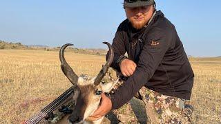 BIG BUCK DOWN! - 2023 Montana Archery Antelope