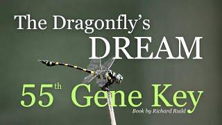 Gene Key 55~The Dragonfly's Dream! This changed my life! The most important KEY#genekeys #dna #love