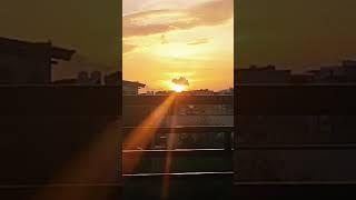 NATURE'S SO BEAUTIFUL  #nature #india #viralshorts