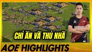 Không ăn được con dân nào? Chim Sẻ Đi Nắng vẫn có thể thắng? | AoE Highlights #aoe