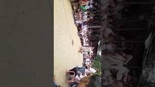 Tamam bindass