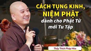 Cách Tụng Kinh, Niệm Phật hàng ngày cho Phật Tử mới tu tập - Vấn Đáp Thầy Thích Pháp Hòa