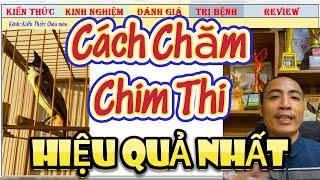 Chia Sẻ Cách Chăm Chim Chào Mào Thi Đấu của Các Nghệ Nhân Đá Xe như thế nào?