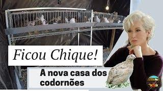 Chique Demais a Nova Casa dos Codornões!