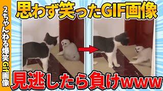 【おもしろgif総集編】思わず笑ってしまった傑作gif画像集ww 【コメ付き】【ゆっくり解説】【2chスレ】【5ch】