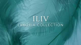 ILIV SS24 Collection - Luxoria