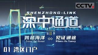 《SHENZHON-LINK》EP01【CCTV纪录】