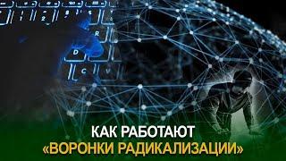 Как работают «воронки радикализации»