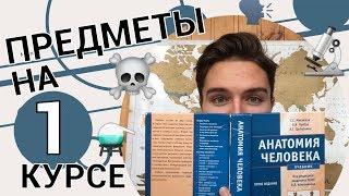 УЧЕБА В МЕДЕ: ПРЕДМЕТЫ НА ПЕРВОМ КУРСЕ | АНАТОМИЯ | ГИСТОЛОГИЯ | МГМСУ