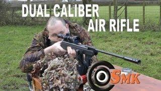 REVIEW: Beeman Dual Caliber Air Rifle .177 and .22 - X2 RS2