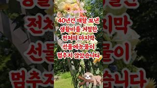 40년 전 이혼한 시부모님의 재회, 낡은 통장이 담긴 사연 #감동사연