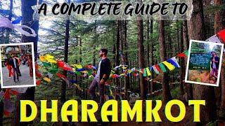 Trip To Dharamkot {Mecleodgaj Dharamshala} Israeli village in Himachal || An Escape For NATURELovers