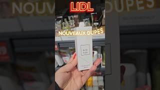 LIDL Parfum Dupe