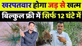 मोथा घास को जड़ से खत्म करने की दवा | motha ghas marne ki dawa | motha ghas kaise khatam kare