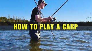 3 Tips For Playing Carp: Land 'em, Don't Lose 'em!