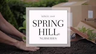 The Spring Hill Nurseries® Difference