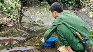 survival instincts, fishing skills of primitive people.[ Wild survival ]-Ep20