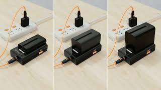 ZGCINE NPF-01 NPF Battery Charger Adapter