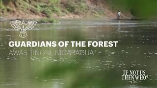 Guardians of the Forest - Nicaragua