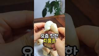 요즘 핫한 치품송 #새송이버섯요리 #새송이버섯레시피 #버섯요리 #치즈