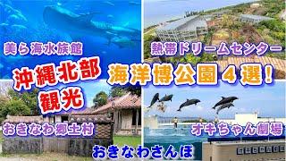 ◤沖縄観光◢ 全公開！『海洋博公園』｢美ら海水族館｣・｢熱帯ドリームセンター｣・｢オキちゃん劇場（イルカショー）｣・｢おきなわ郷土村｣ 2K 30fps 256 【おきなわさんぽ】