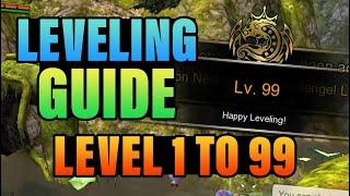 Leveling Guide MAIN QUEST For Beginners Dragon Nest SEA