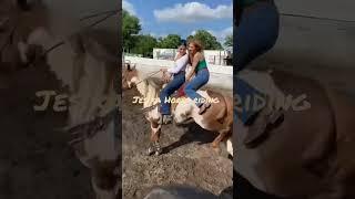 bucking Horse riding double & fall off from horseback #viralvideo #equestrianrider #crazyhorse