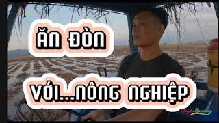 Chơi với nông nghiệp và ăn đòn