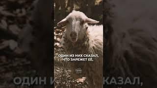 Кого не любит Аллах