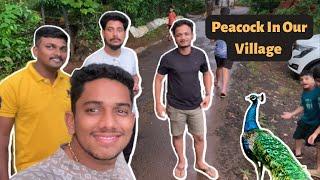 WE FEED PEACOCK WITH OUR HAND | MARATHI VLOG | NATIVE | Vlog 06 | @Mandarshetye