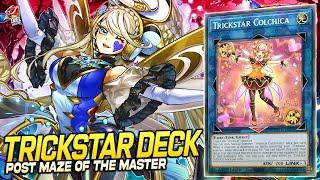 Deck Trickstar Post Maze of the Master | EDOPRO | Replays  + Decklist ️