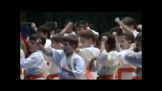 Федерация Киокусинкай Красноярского края
