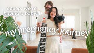  We're Having a Baby! | My Pregnancy Journey, Rainbow Baby, Partial Molar Pregnancy