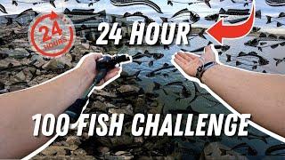 Can I Catch 100 Fish in a Day? Multi-Species Challenge!