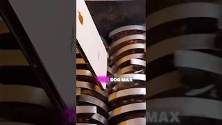 Max the LAZY Dog Gets a Shocking Upgrade #viralvideo #shortvideo #shorts