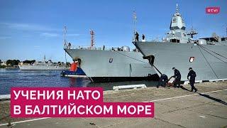 Учения НАТО против России: насколько реальна угроза и чего ждать от Москвы