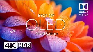 Best of Vivid Colors 4K HDR 60 FPS Dolby Vision (4K Video)