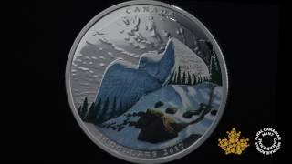 1 oz. Pure SIlver Coloured Coin - Landscape Illusions: Snowy Owl