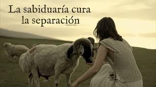 LA SABIDURÍA CURA LA SEPARACIÓN - Eckhart Tolle