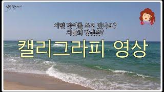 사유하다- 캘리그라피영상