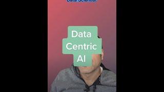 Data Centric AI