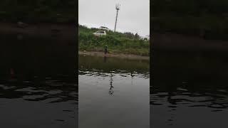 Браконьеры Сахалина #сахалин #рыбалка #природа #природароссии