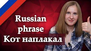 Кот наплакал, popular Russian idioms, русские фразеологизмы