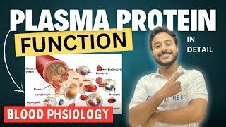 blood plasma protein function physiology | functions of blood plasma proteins physiology