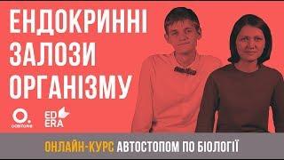 Ендокринні залози організму. ЗНО з біології