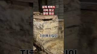  타일에도 곰팡이가 피어요~!  보관 상태가 너무 안좋은 자재  고양 덕양 신원마을9단지 호반베르디움  #타일시공 #금간타일 #화장실타일 #타일교체 #타일하자보수