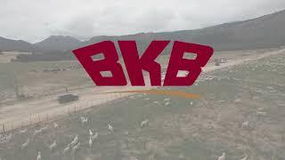 Langkloof Farm Auction Highlights - BKB South