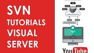 How To Install Visual Server SVN