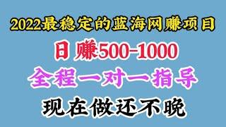 2022最稳定的正规蓝海网赚项目！日赚500-1000元！老王已经稳定操作一年了！知道的人不多！现在做还不晚！